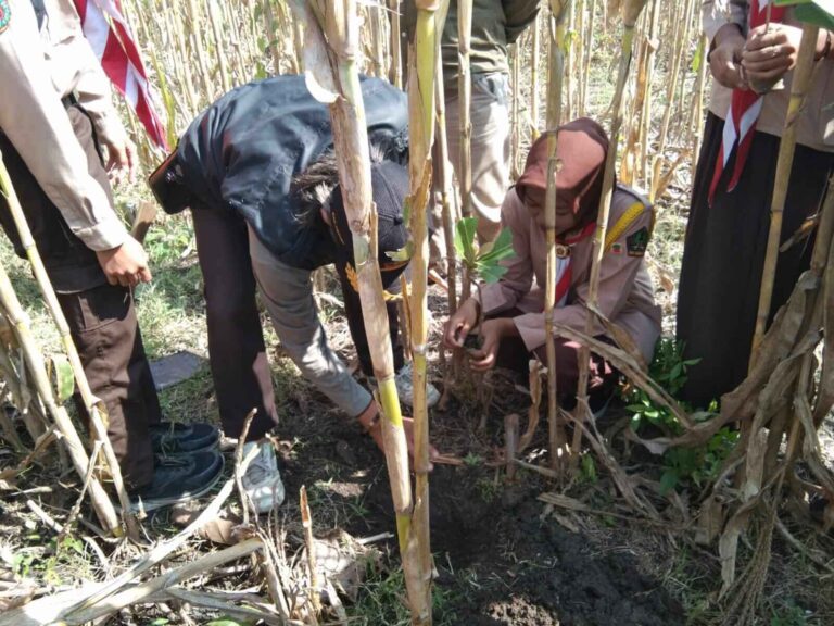 Praktik Penanaman di BKPH Beran