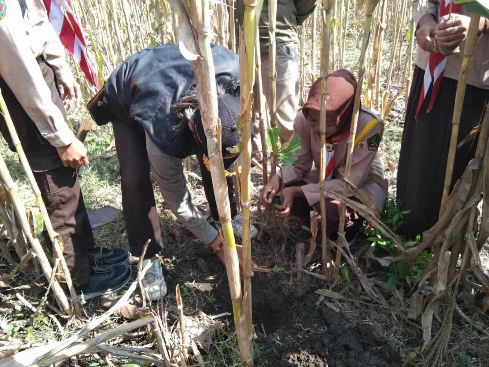 Praktik Penanaman di BKPH Beran