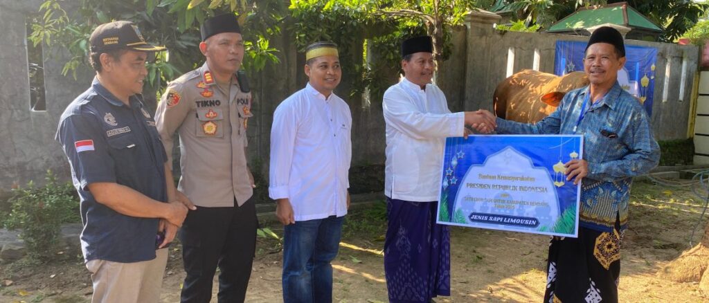 Sapi Kurban Banmas Presiden di Rembang