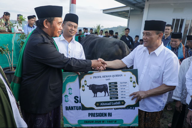 Sapi  906 Kg dari Gubernur Jateng Jadi Kado Iduladha Warga Huntara Tegal