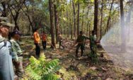 Perhutani Randublatung dan BPBD Blora Gelar Simulasi Pemadaman Karhutla