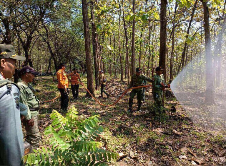 Perhutani Randublatung Gelar Simulasi Pemadaman Karhutla