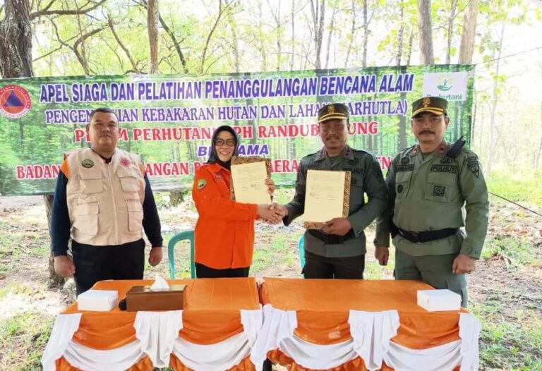 Perhutani Randublatung