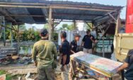 Petugas Gabungan Lakukan Pembongkaran PKL dan Parkir Liar di Samping The Park Mall Semarang