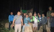 Tim Gabungan Gagalkan Pencurian Kayu di Hutan Perhutani Kebonharjo