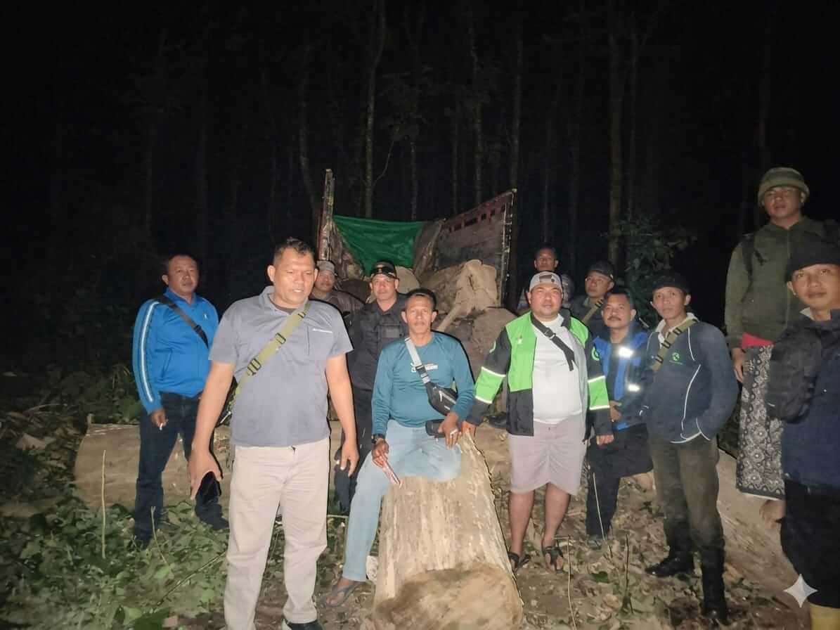 Pencurian Kayu di Hutan Perhutani Kebonharjo