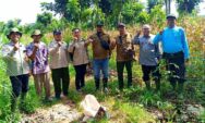 Dukung Ketahanan Pangan, Perhutani Kebonharjo dan PPL Gelar Ubinan Jagung di Kawasan Hutan Tuban