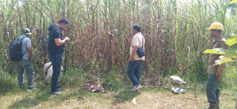 Perhutani Blora Panen Tebu Temani