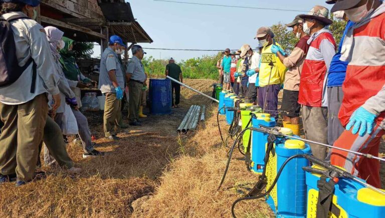 DP4 Blora dan POPT Dinas Pertanian Jateng
