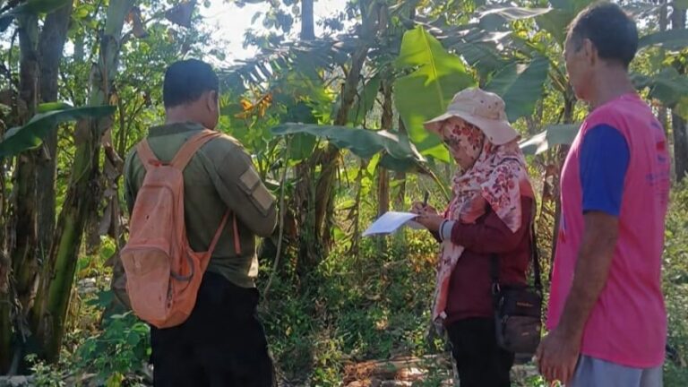 DP4 dan Perhutani Blora