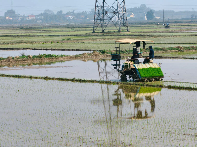 Mengubah Perspektif Negatif Masyarakat terhadap Profesi Petani