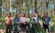 Antisipasi Gukamhut, Perhutani Kebonharjo Gelar Patroli Gabungan dengan Polsek Bogorejo