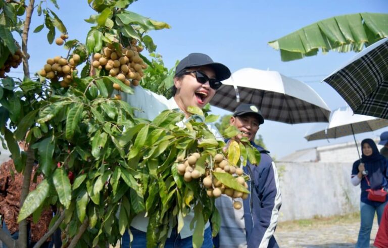 Peresmian Agro Eduwisata Masjid Agung Semarang