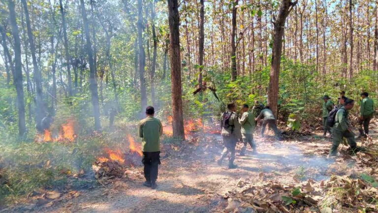 Perhutani Blora Simulasi Penanganan Karhutla