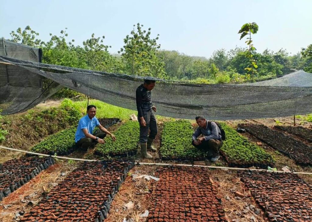 Perhutani Blora Rencana Tanaman 2026