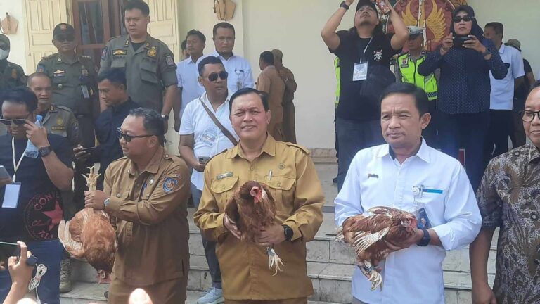 Peternak DIY Bagikan Ayam