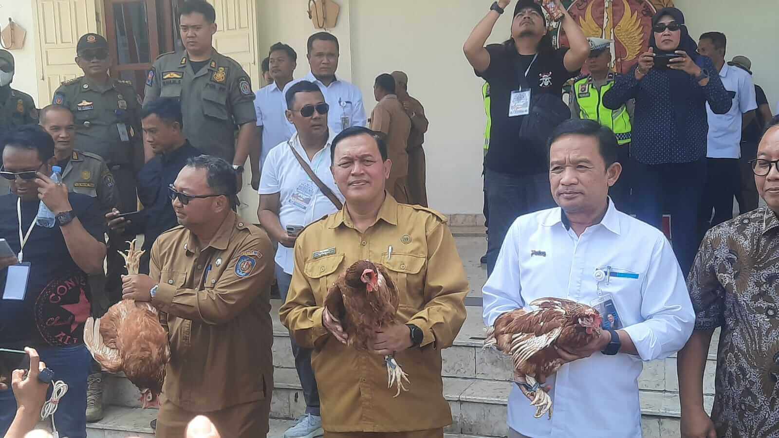 Peternak DIY Bagikan Ayam