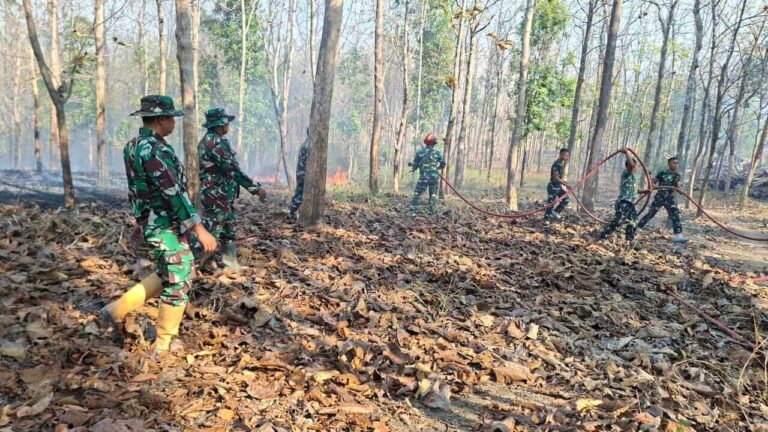 Kebakaran Hutan Petak 12 RPH Bedog