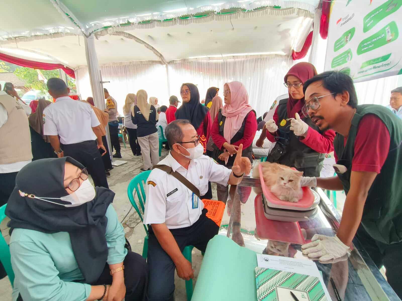 Program suntik vaksin rabies DP4 Blora