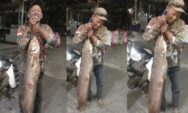 Dari Kakap Putih hingga Lele, Kisah Pemaser Semarang Bertahan Hidup dari Sungai