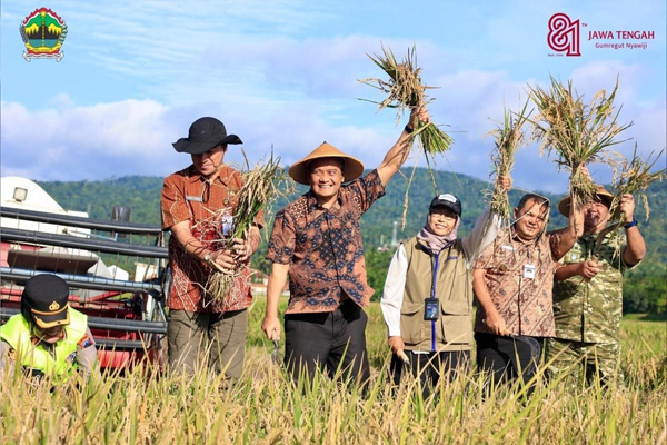 Hari Jadi Ke-81 Jateng: Dari Sawah Jawa Tengah untuk Meja Makan Indonesia
