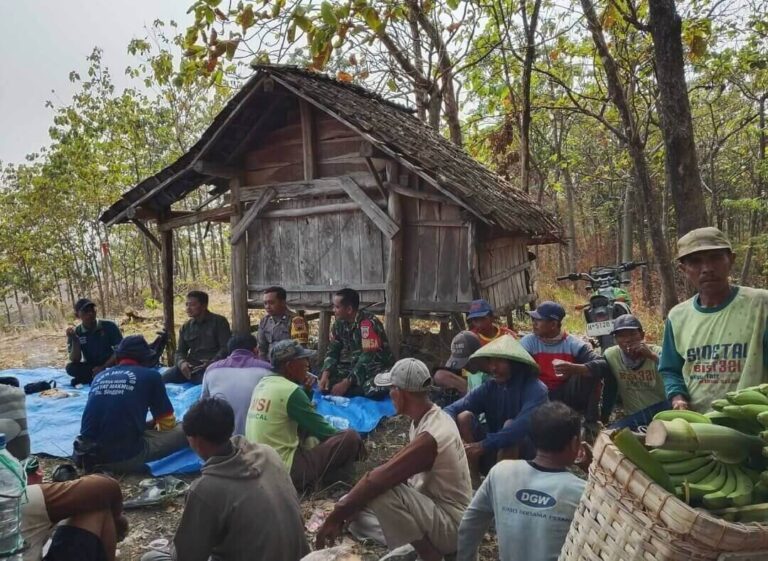 Perhutani Randublatung Sosialisasikan Agroforestry
